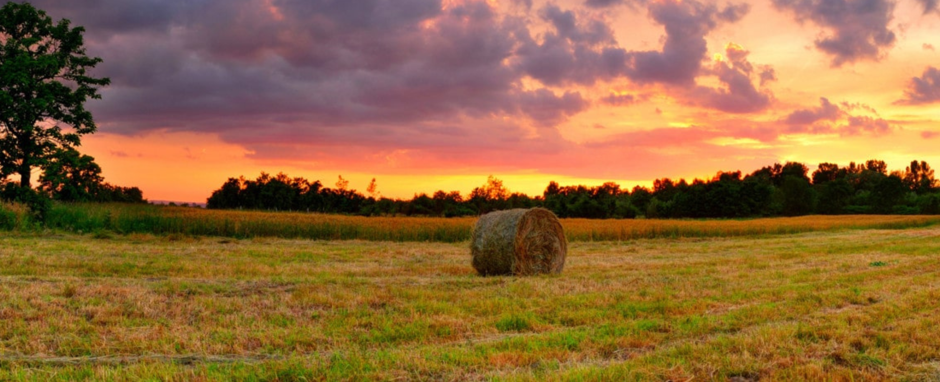 South Dakota prairie landscape near Sioux Falls